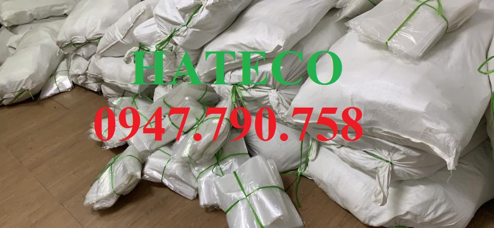 Túi Clearbag khổ F dày FC ( Túi myclear, túi khuy, bìa nút, túi cúc)