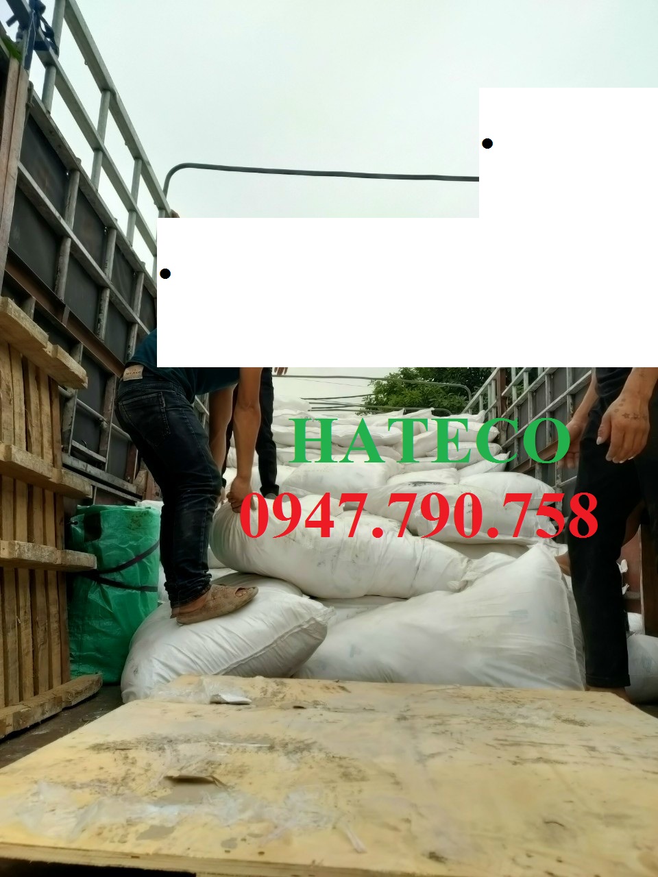 Túi Clearbag khổ F dày FC ( Túi myclear, túi khuy, bìa nút, túi cúc)