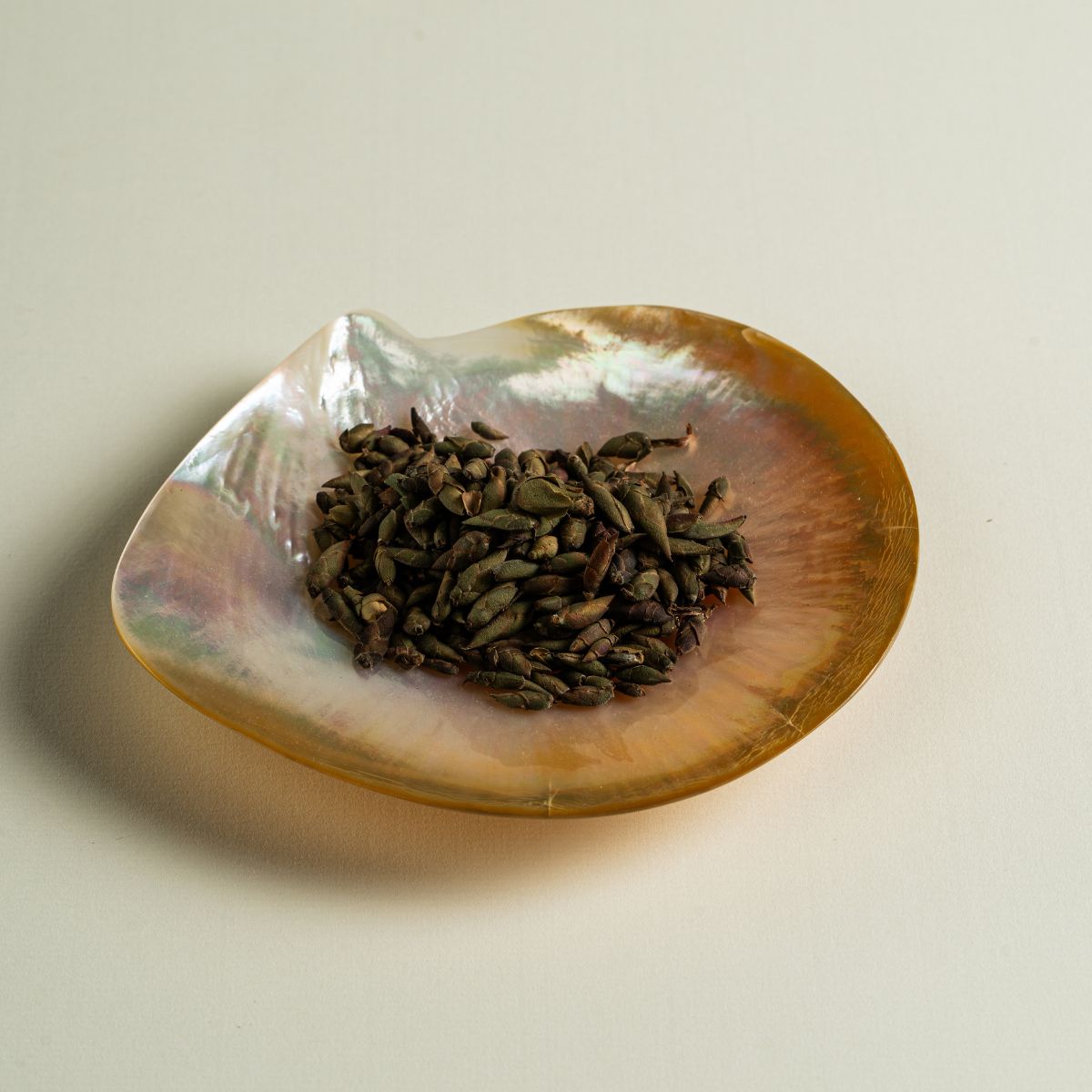 Trà Măng Rừng Tím