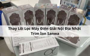 Hướng Dẫn Thay Lõi Lọc Máy Điện Giải Nội Địa Nhật Trim Ion Sanwa