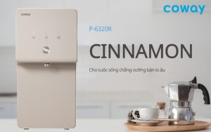 Review Chi Tiết Máy Lọc Nước Coway Cinnamon P-6320R Hàn Quốc