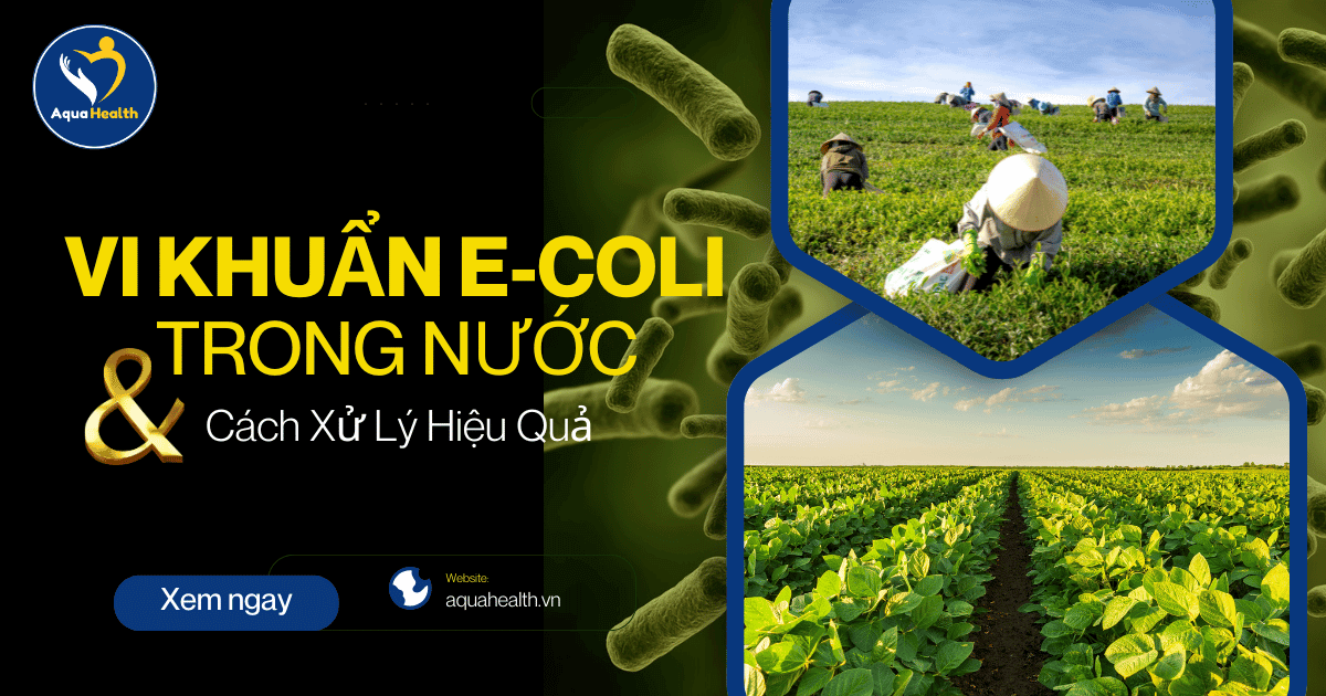 Vi Khuẩn E-Coli Trong Nước Và 3 Cách Xử Lý Hiệu Quả