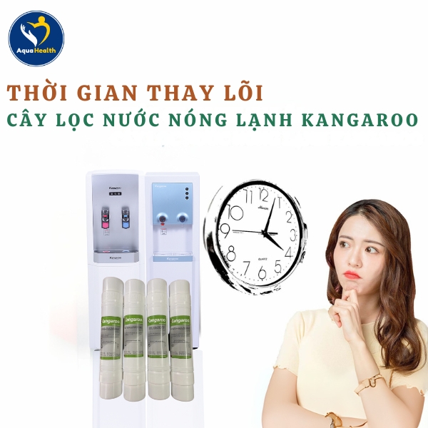 Bao lâu cần phải thay lõi lọc Kangaroo KG47-KG48