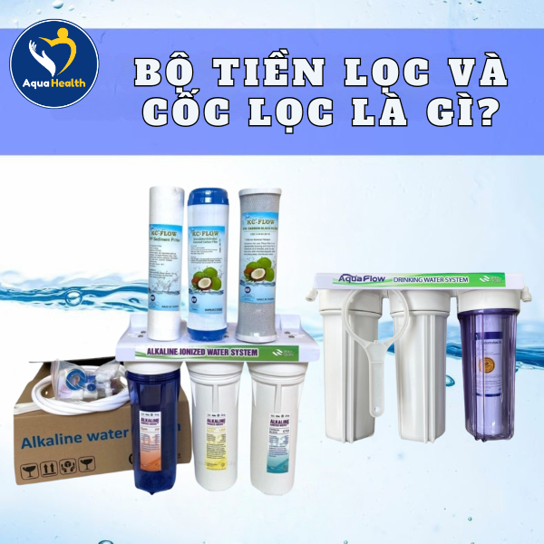 Bộ tiền lọc và cốc lọc là gì