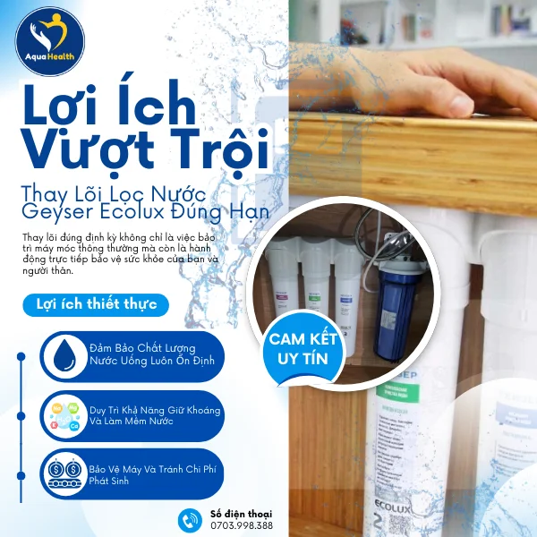 Lợi Ích Vượt Trội Của Việc Thay Lõi Lọc Nước Geyser Ecolux Đúng Hạn