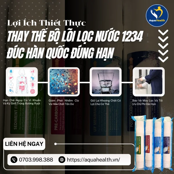Lợi Ích Vượt Trội Khi Thay Thế Bộ Lõi Lọc Nước 1234 Đúc Hàn Quốc Đúng Hạn