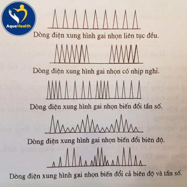 Nguyên lý điện trường trị liệu là gì