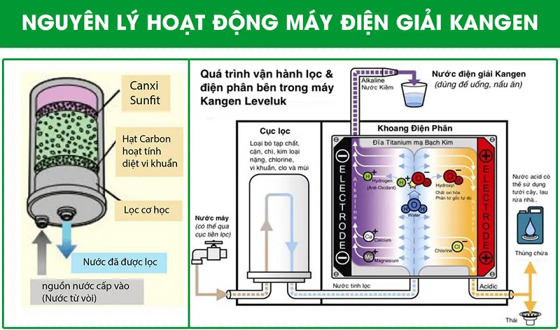 Cấu tạo lõi lọc máy điện giải Kangen SD501 Platinum