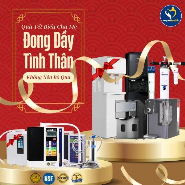 Những Món Quà Tết Biếu Cha Mẹ Đầy Ý Nghĩa Mà Bạn Không Nên Bỏ Qua