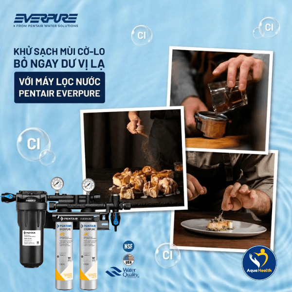 Máy Lọc Nước Pentair Everpure QC7I  PF Twin 4FC