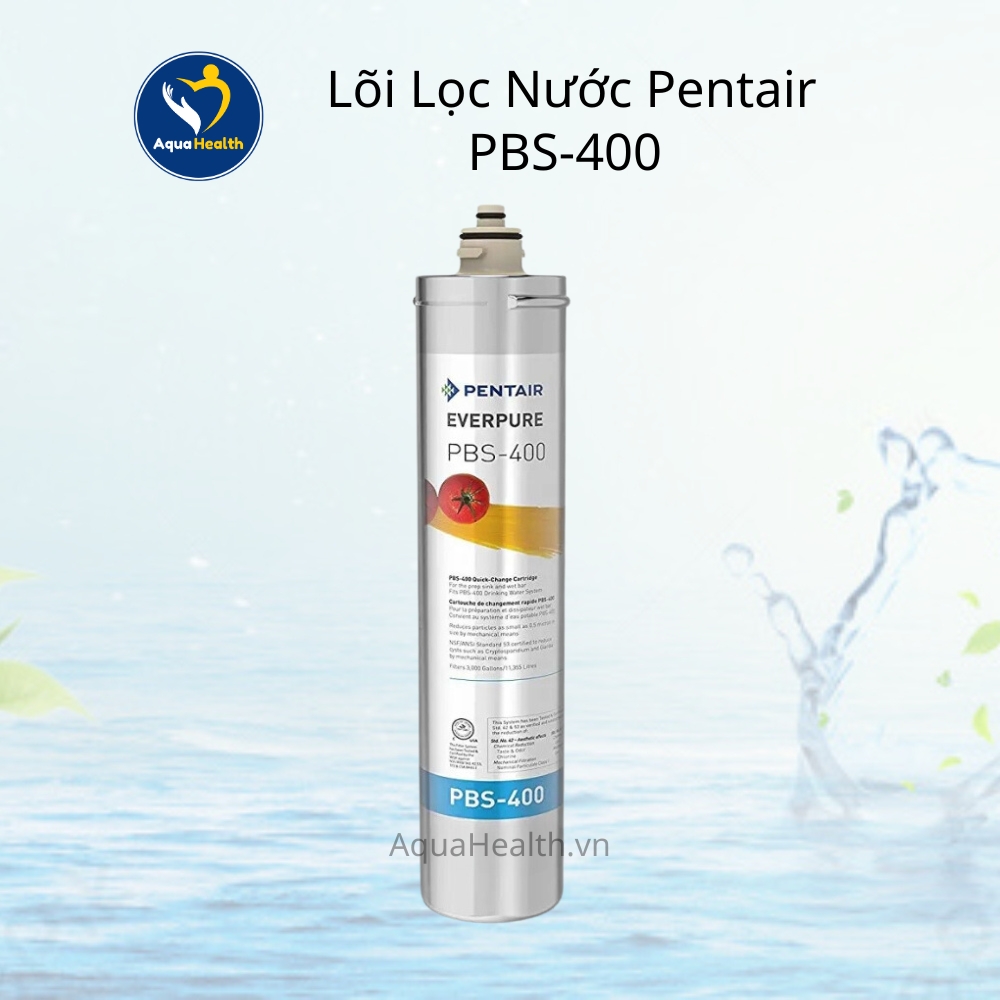 Lõi Lọc Pentair PBS-400 kèm tiền lọc - Lọc Âm Bồn