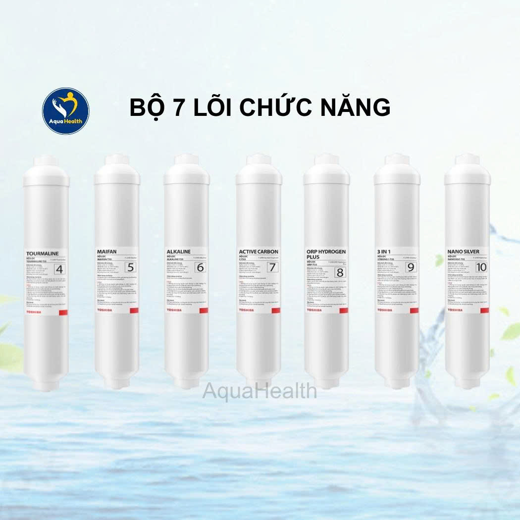 Bộ lõi lọc Toshiba Model TWP-W2398SVN(M) - Gồm 10 lõi
