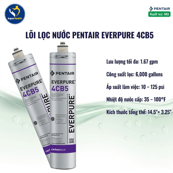 Lõi Lọc Nước Pentair Everpure 4CB5 EV9617-11