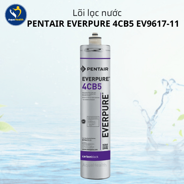 Lõi Lọc Nước Pentair Everpure 4CB5 EV9617-11