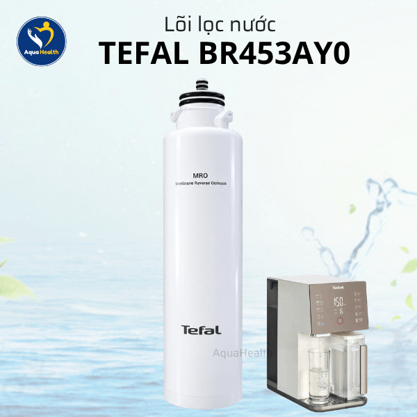 Lõi Lọc Nước Tefal BR453AY0