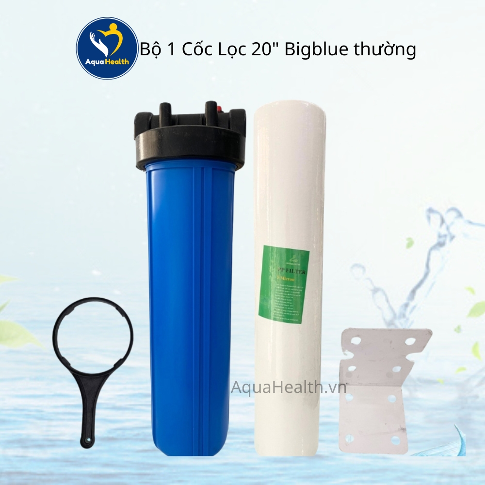 Bộ tiền lọc Bigblue 20 inch Việt Nam - PP và Than