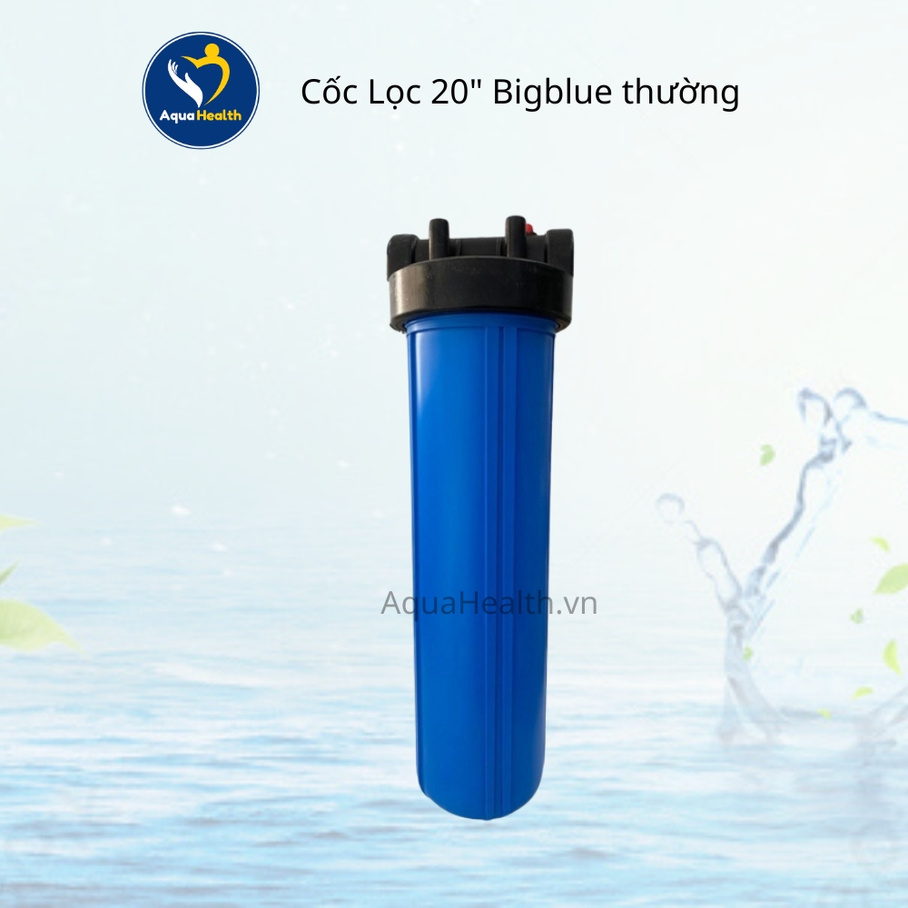 Bộ tiền lọc Bigblue 20 inch Việt Nam - PP và Than