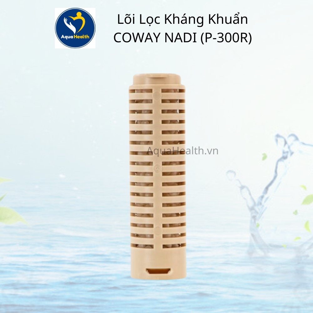 Lõi lọc Coway P-300R
