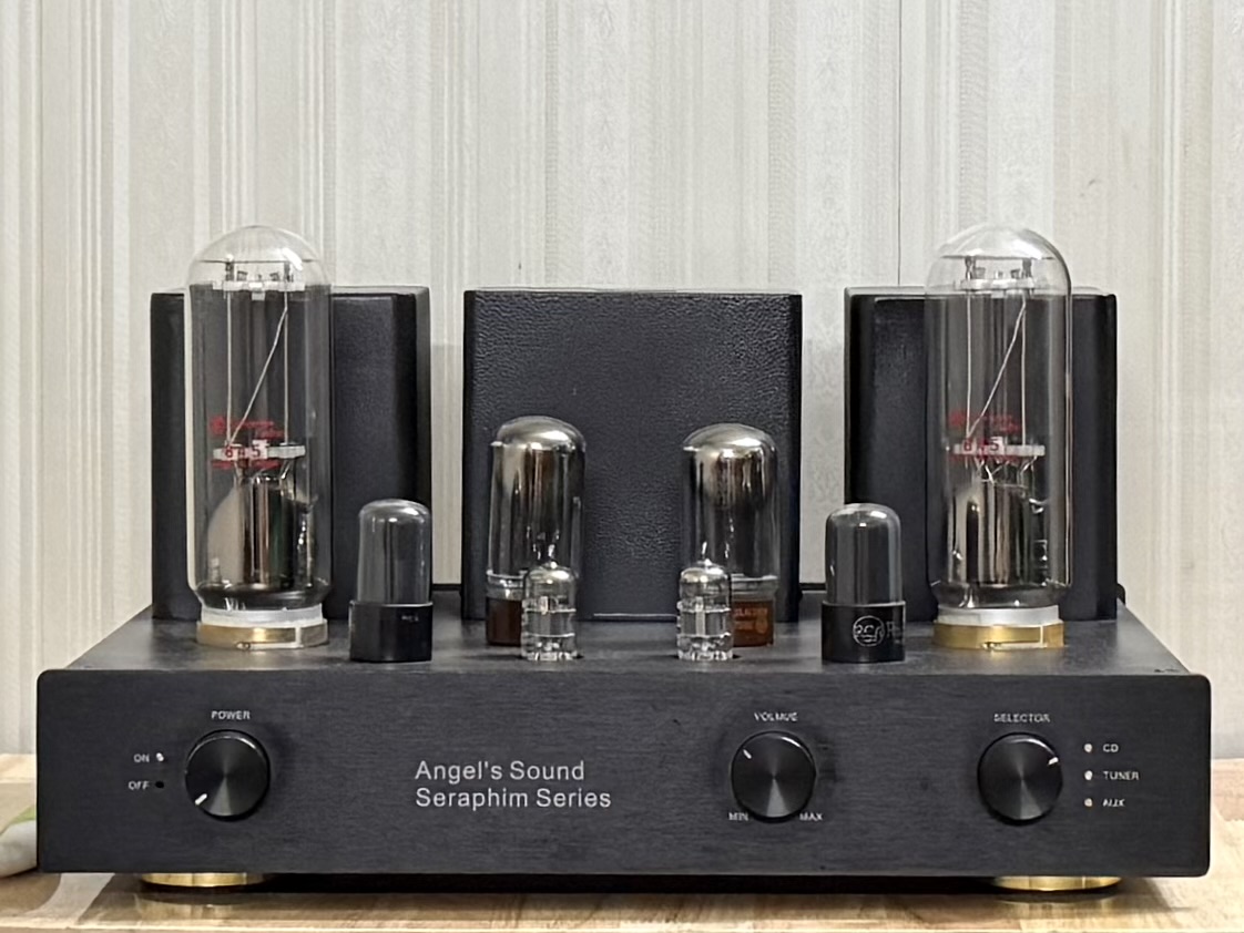 845 Ampli DIY. Tube ampli 845