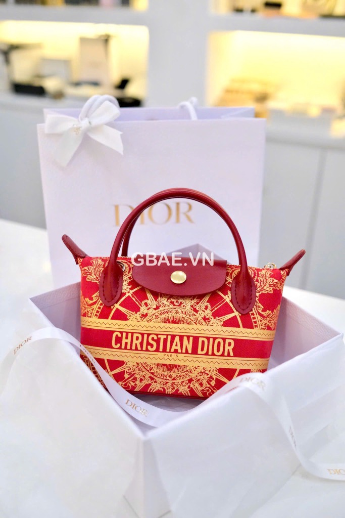 Túi Custom DIOR - Stye Longchamp (20x13.5x7cm)