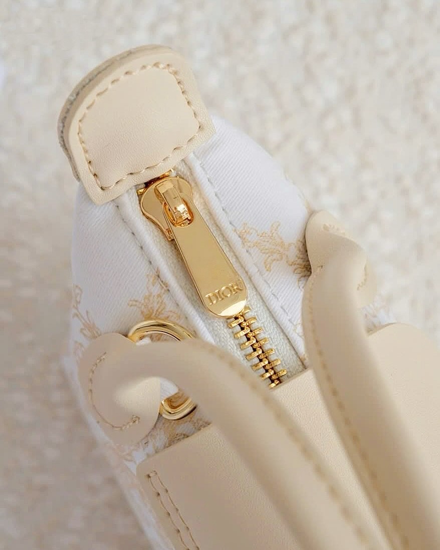 Túi Custom DIOR - Stye Longchamp (20x13.5x7cm)