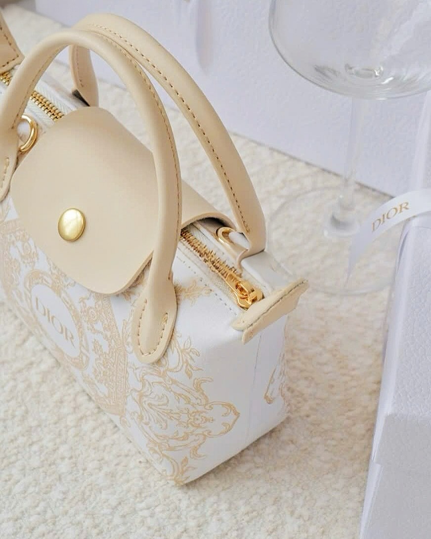 Túi Custom DIOR - Stye Longchamp (20x13.5x7cm)