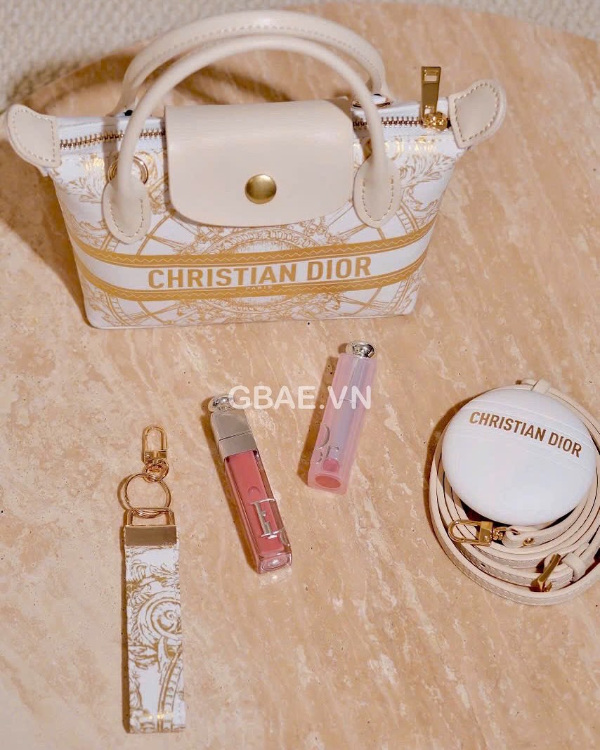Túi Custom DIOR - Stye Longchamp (20x13.5x7cm)