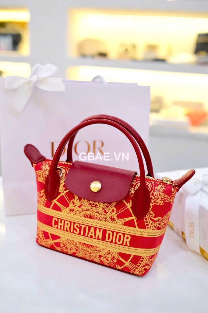 Túi Custom DIOR - Stye Longchamp (20x13.5x7cm)