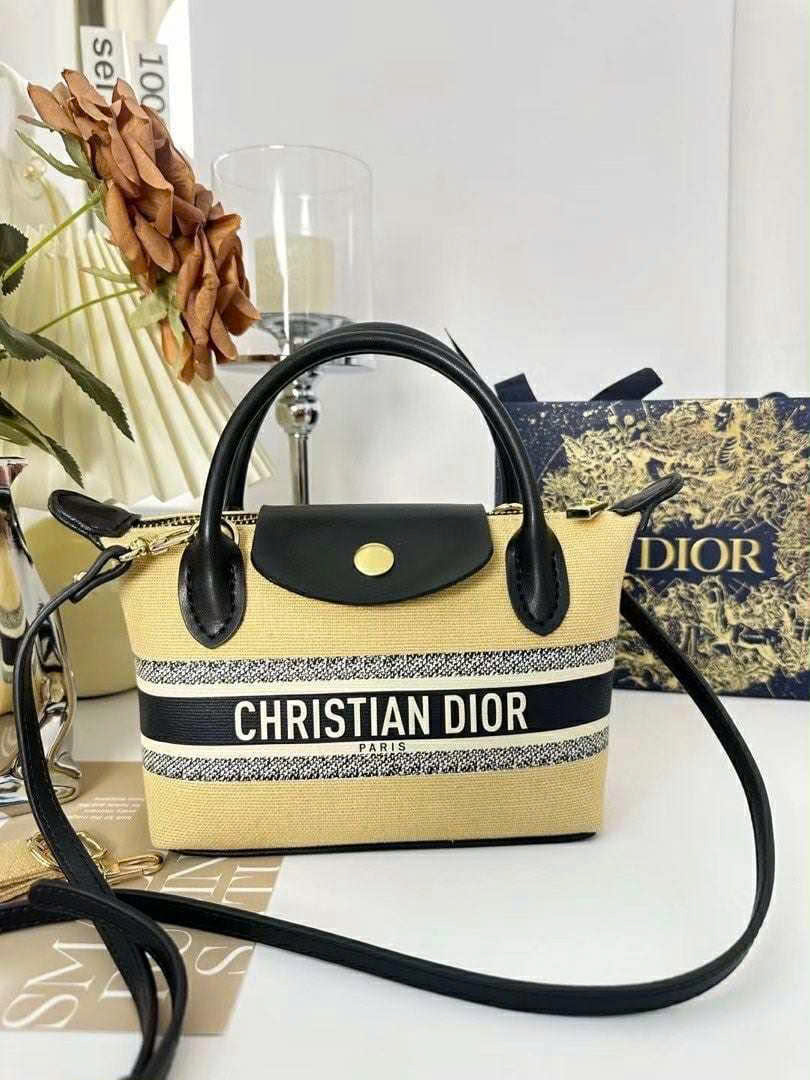 Túi Custom DIOR - Stye Longchamp (20x13.5x7cm)