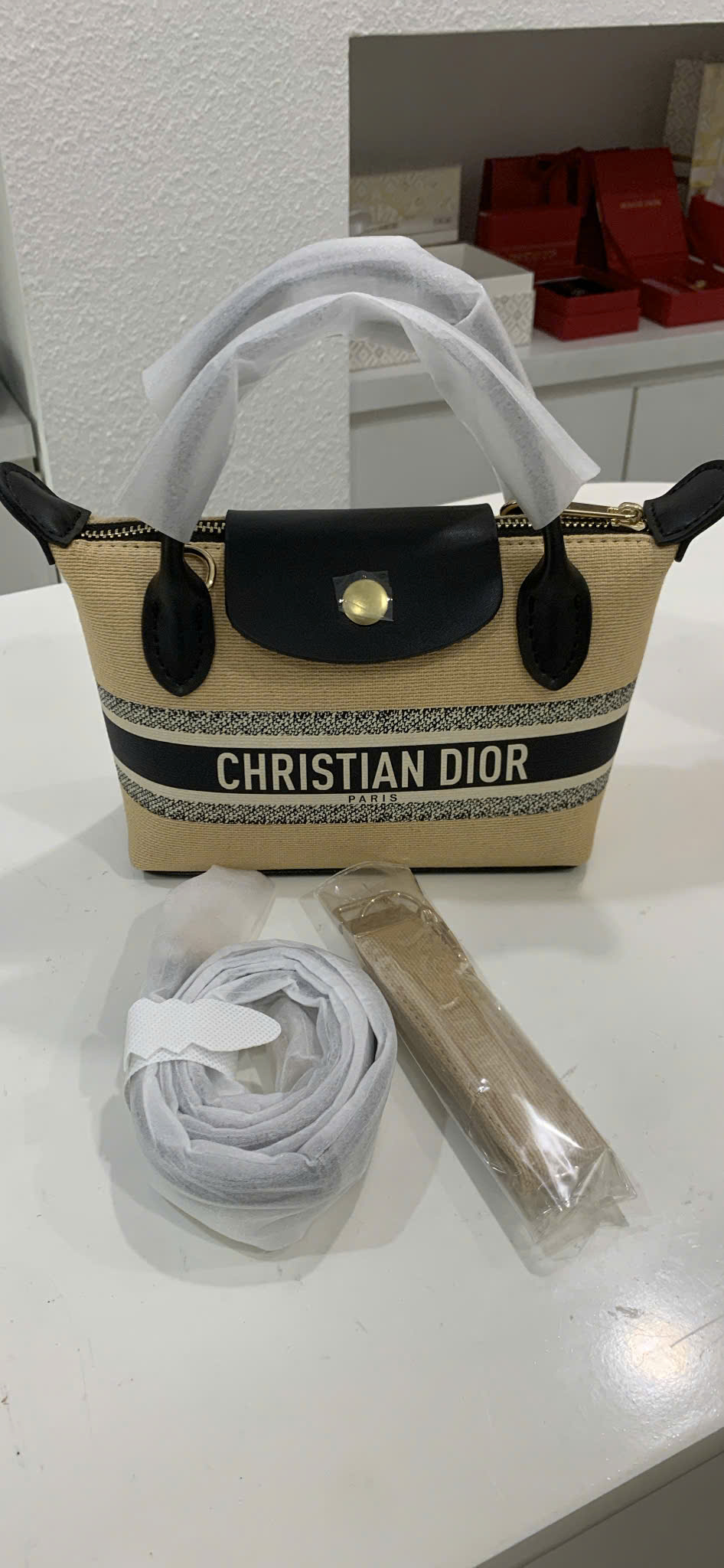Túi Custom DIOR - Stye Longchamp (20x13.5x7cm)