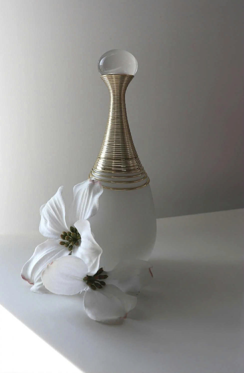 Nước Hoa DIOR J’Adore Parfum d’Eau 100ml