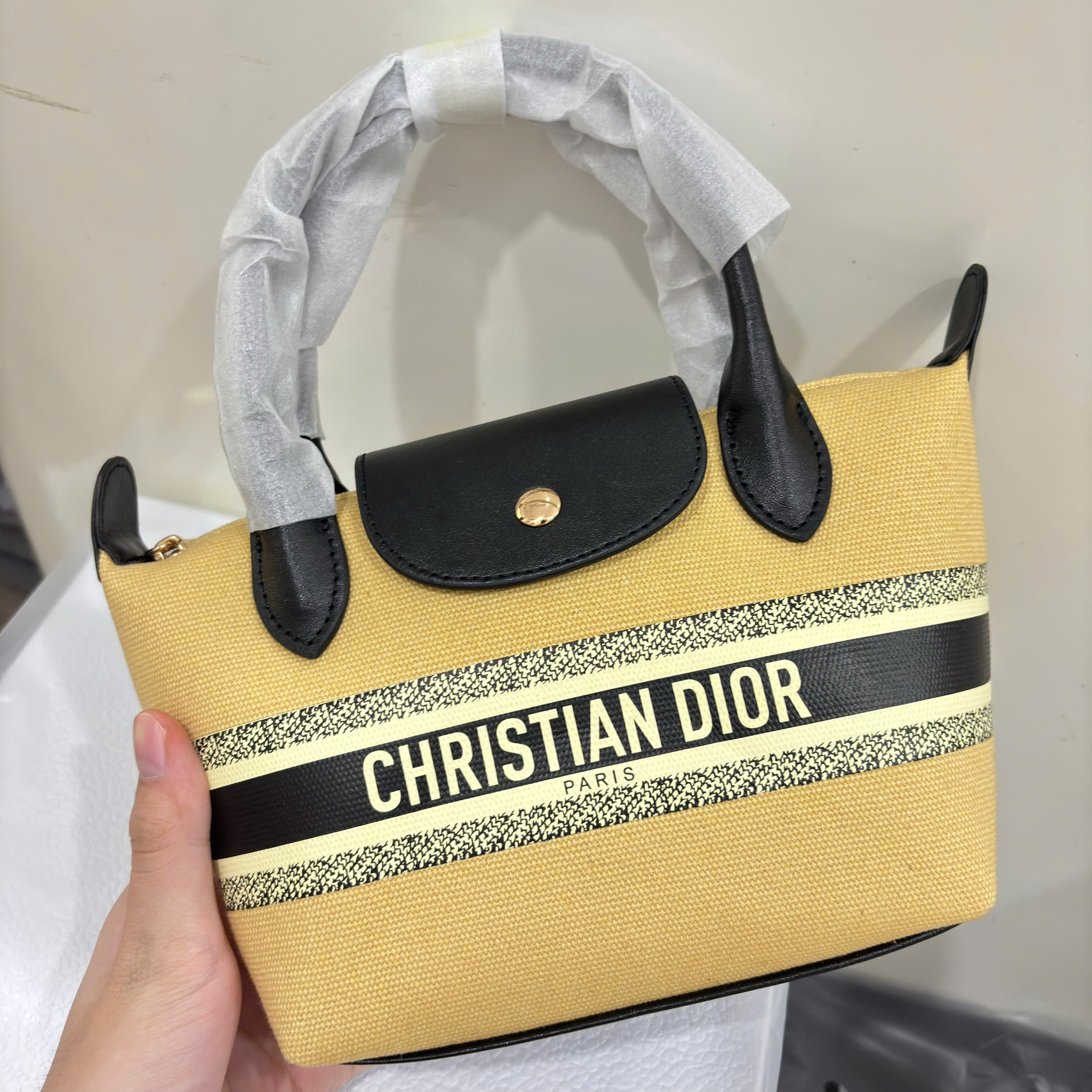 Túi Custom DIOR - Stye Longchamp (20x13.5x7cm)