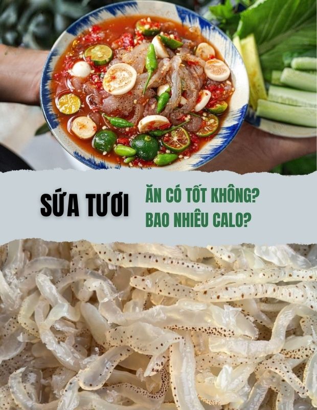 Ăn sứa tươi có tốt không? 100g sứa tươi bao nhiêu calo?