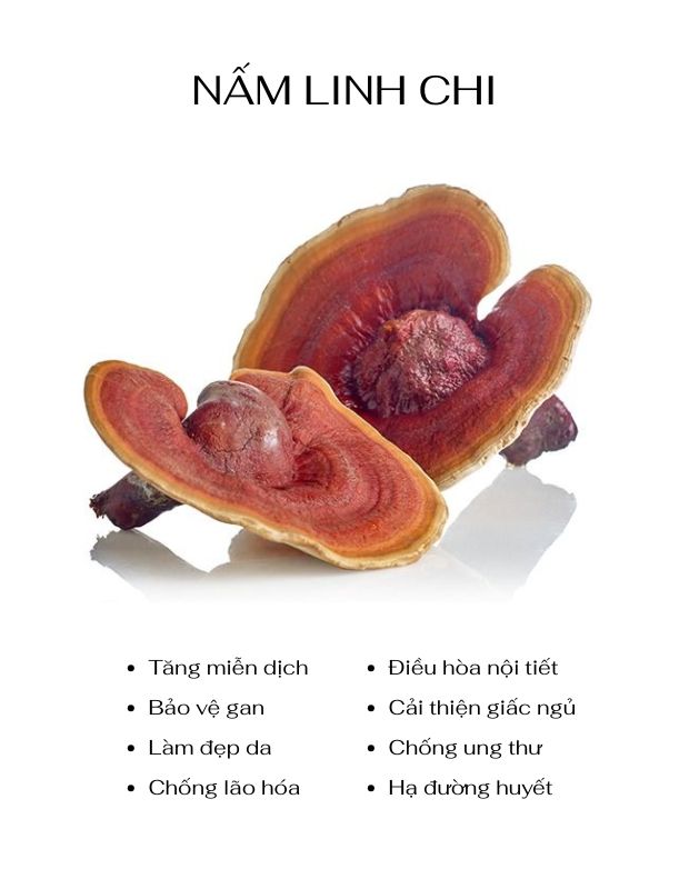 Bật mí 8 tác dụng của nấm linh chi với phụ nữ