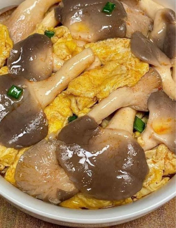 Gợi ý bạn 10 món ngon từ nấm bào ngư dễ làm tại nhà