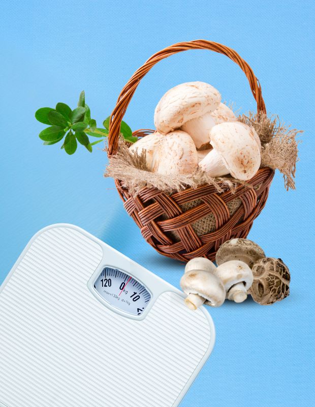 Ăn nấm có giảm cân không? Ăn nhiều nấm có mập không?