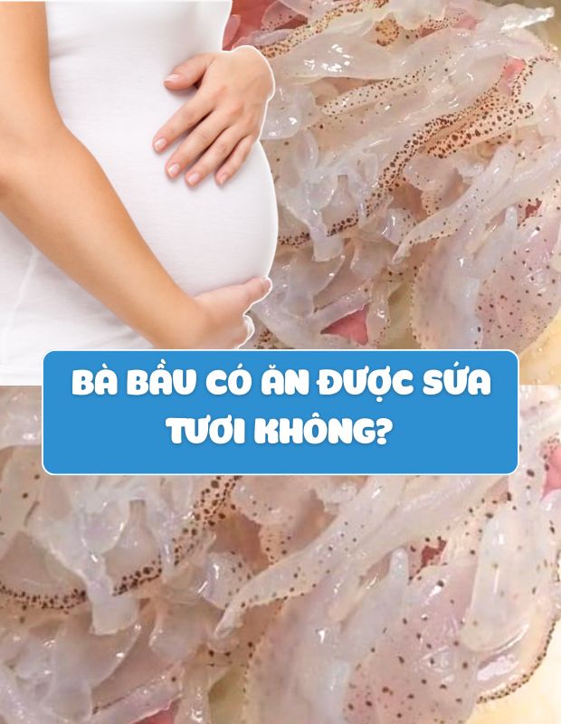 Bà bầu có ăn được sứa tươi không? Cách chế biến sứa tươi