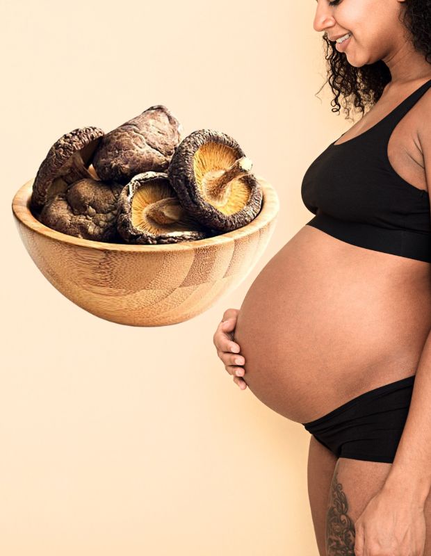 Bầu ăn nấm đông cô được không? Lợi ích và lưu ý cần biết