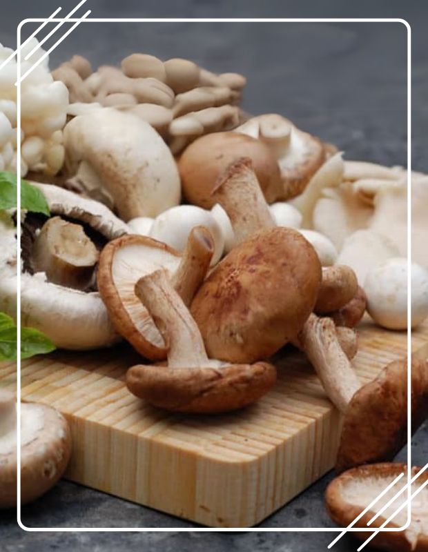 Các loại nấm tốt cho sức khỏe ngăn ngừa ung thư