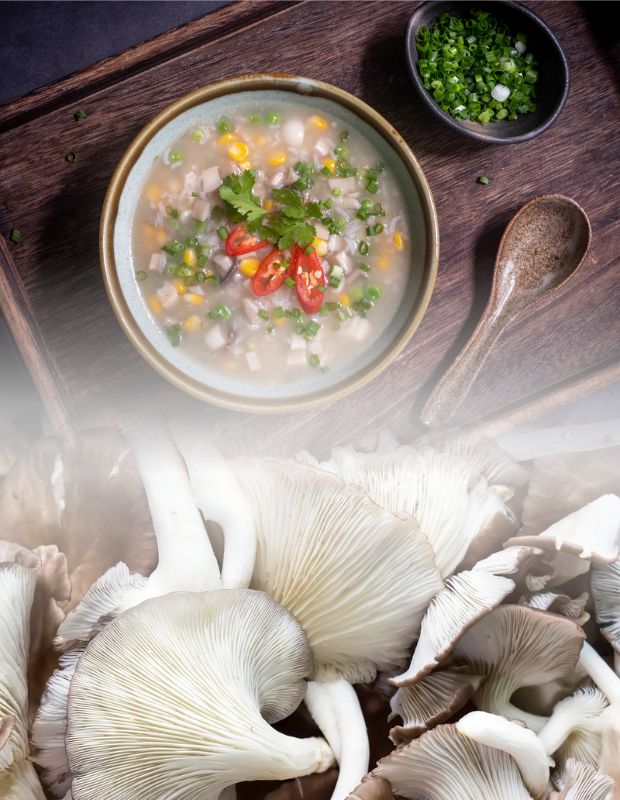 Bé mấy tháng ăn được nấm bào ngư? Cách chế biến nấm bào ngư cho bé ăn dặm