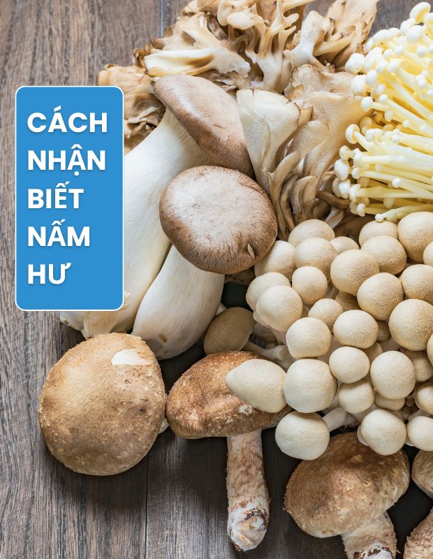 Cách nhận biết nấm hư và mẹo bảo quản nấm tươi lâu