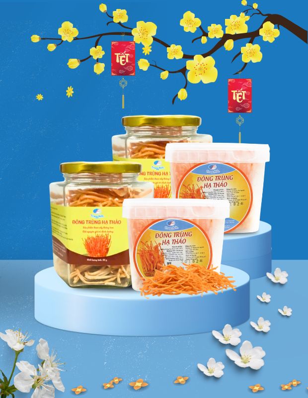 Có nên uống đông trùng hạ thảo thường xuyên không?