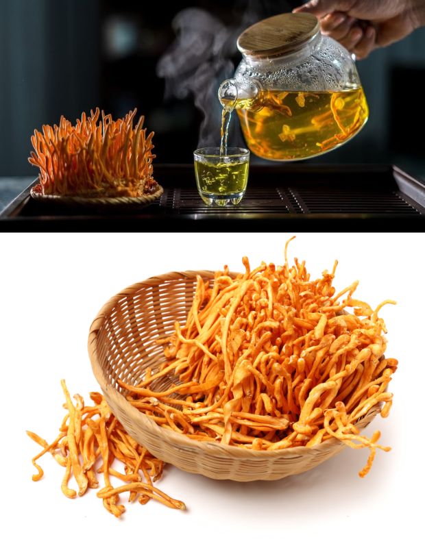 Đông trùng hạ thảo dùng cho đối tượng nào? Lưu ý khi sử dụng