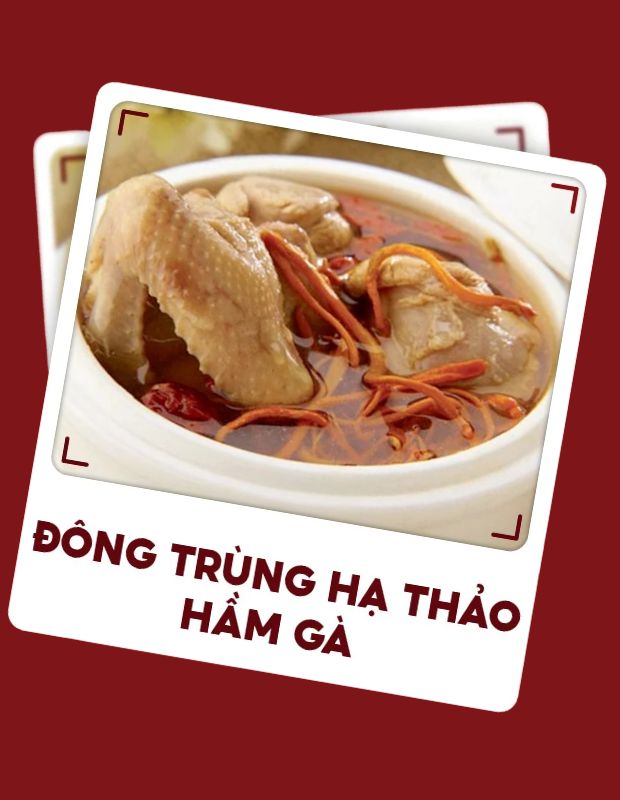 Hướng dẫn nấu món gà hầm đông trùng hạ thảo
