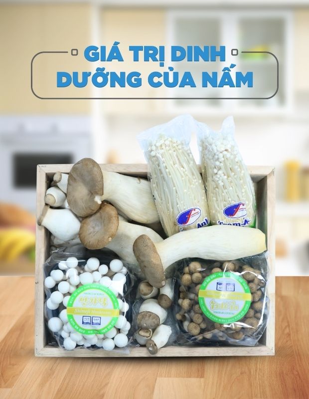 Khám phá giá trị dinh dưỡng của nấm? Dinh dưỡng các loại nấm