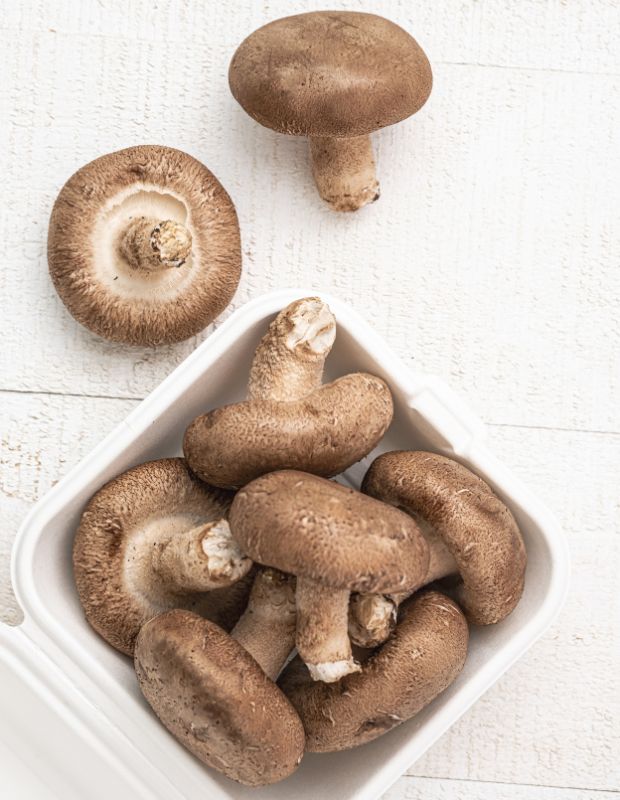 Nấm đông cô tươi và những điều bạn nên biết