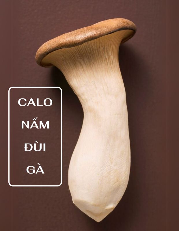 Nấm đùi gà bao nhiêu calo? Ăn nấm đùi gà có béo không?