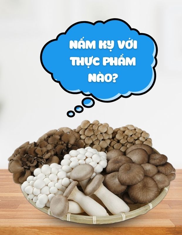 Nấm kỵ với thực phẩm nào? Những ai không nên ăn nấm?