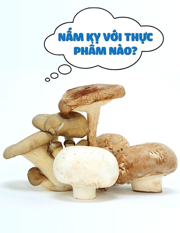 Nấm kỵ với thực phẩm nào? Những lưu ý khi ăn nấm bảo vệ sức khỏe