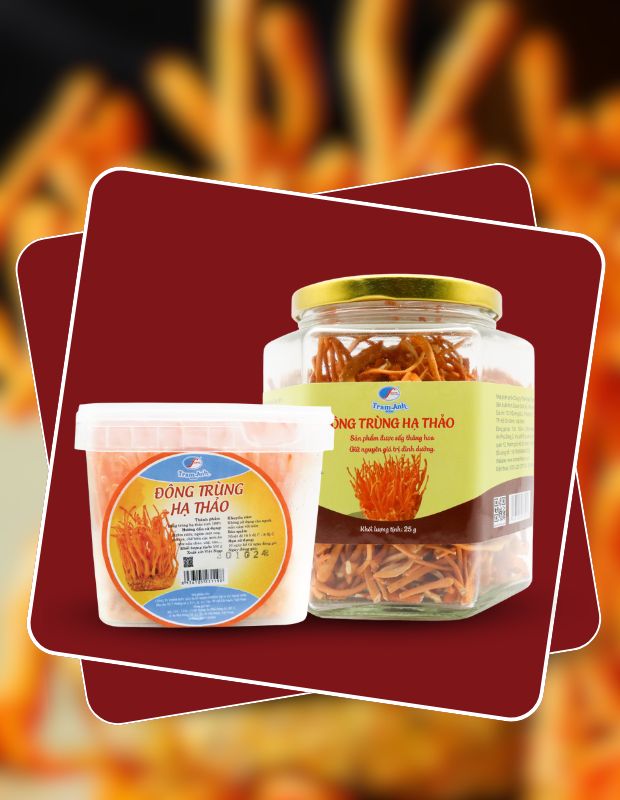 Phân biệt đông trùng hạ thảo khô và tươi loại nào tốt hơn